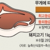 돼지 110㎏ 넘으면 등외 판정