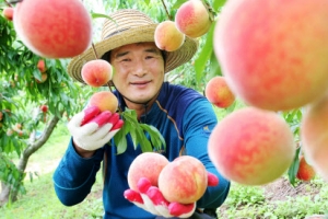 “아삭아삭~ 복숭아 드세요”