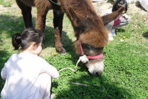 뗏목 타고 포도 따고… 가족과 ‘힐링여행’ 떠나요