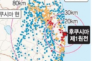 日 방사성 물질 북서·남쪽에 오염 집중