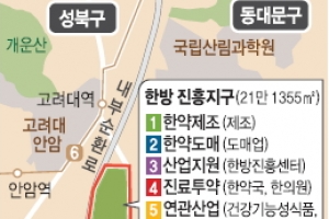 경동시장 일대 한방바이오산업 메카로