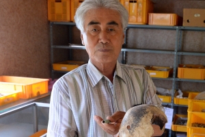 [정전협정 60년] <5>현재진행형 비극 (상)민간인 학살 경산코발트광산 르포