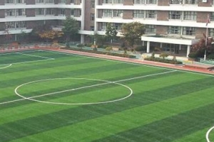 애물단지 학교 인조잔디 철거지원 ‘0’