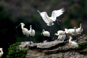 DMZ, 천연의 아름다움… 환경부 사진공모 수상작 발표