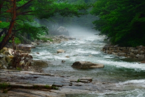 집 떠나면 호강한다