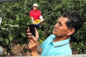 비닐하우스 온도·습도·배수 원격제어… 기저귀 갈 때 되면 스스로 문자메시지