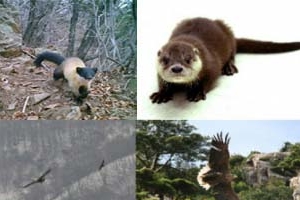 DMZ에 살아있네~