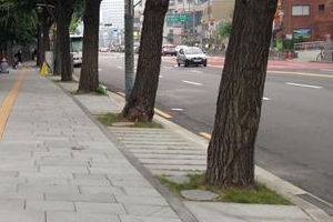 종로 친환경 보도블록 침수도 예방