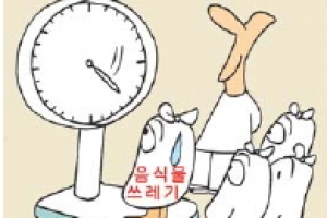 금천, 음식쓰레기 다이어트 돌입!