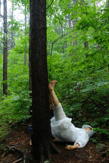 산음휴양림의 숲 치유 프로그램에서 소음인인 참가자가 기운이 단단한 낙엽송에 다리를 올린 채 호흡하는 체질별 나무군락 치유 활동을 하고 있다.