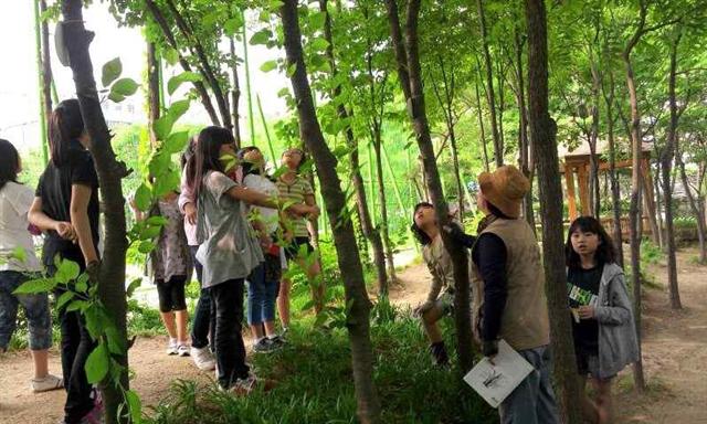 경기 수원시 원일초등학교에 조성된 학교숲에서 학생들이 생태환경 교육을 받고 있다. 원일초는 해마다 숲해설가를 초청해 숲에 있는 나무와 야생화 100여종에 대해 교육한다. 학교숲은 학생과 주민의 쉼터로도 활용된다. 생명의 숲 제공