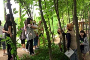 운동장 대신 숲을 품은 학교… 도심 속 아이들의 ‘힐링 놀이터’