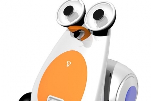 교육 로봇도 한류