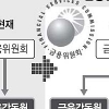 금감원과 양대체제… 권한 싸고 논란