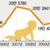 올 출생아 19만명… 8년 만에 최저