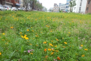 마포 경의선공원 향기나는 꽃길로