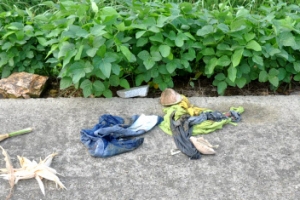 ‘군산 실종女’ 입었던 속옷이…