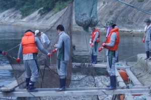 사상최악 적조… “며칠 더 지속땐 양식장 물고기 한 마리도 안남아”