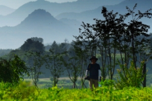 바람이 떠나라 시켰다… 물 만나 여름을 식혔다