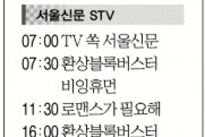 [3일 서울신문 STV·OBS·EBS]