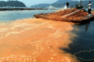 낙동강 녹조 중·상류 확산… 식수 비상