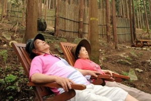 [푸른숲, 五感을 깨우다] (5) 진화하는 한국의 ‘산림 치유’Ⅱ