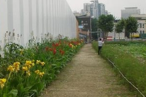 뚝섬 ‘초록M’… 난, 누구게?