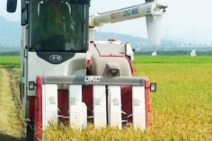 “3개월만에 다 자랐어요”