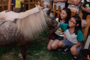“조랑말, 이렇게 생겼구나”