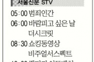 [11일(日) 서울신문 STV·OBS·EBS]