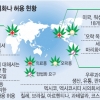 대세가 된 마리화나 합법화… 마약 줄일까