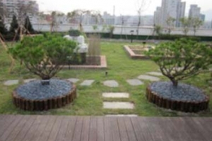 [자치구 ‘여름 나기’ 3色 풍경] 학교 옥상마다 풀 내음