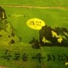 충북 괴산에 폭 100m ‘독도는 우리 땅’ 논그림