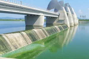 [녹조·적조 확산 비상] “폭염탓, 가뭄탓” 대책 없는 환경부… 수질·정수관리 전전긍긍