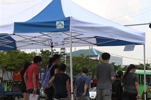 쏙~ 숨으면 Cool!