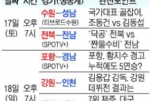 [프로축구] “브라질행 티켓 잡아라” K리그 수문장 진검승부