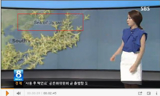 지난 8일 방송된 SBS 8시뉴스 보도화면