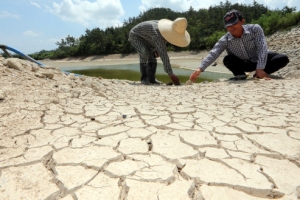 타들어가는 농심