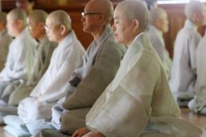 “벌레도 풀잎도 생명은 고귀한 것”