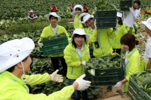 “아삭아삭 고랭지 배추 나왔어요”
