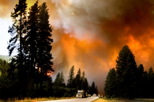 세계 첫 국립공원 위협하는 美 산불