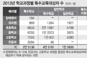 특수학교 20곳·특수학급 2500개 늘린다