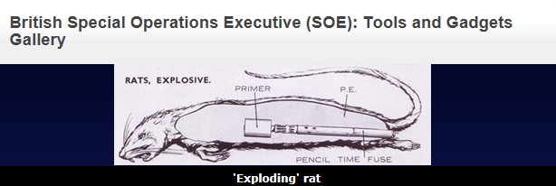 2차 세계대전에서 영국은 죽은 쥐의 몸에 고성능 폭탄을 넣어 독일에 피해를 줄 계획을 세웠다. 하지만 독일군이 너무 쉽게 폭탄을 발견하는 바람에 개발 계획은 중지됐다. 영국 BBC 온라인 캡처