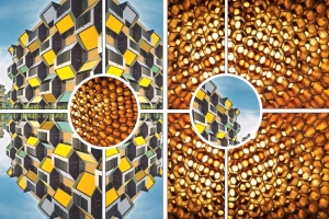 인류여, 자연을 베껴라