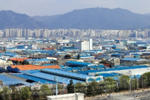 [이슈 & 이슈] 살아나는 경제로 웃음꽃 핀 대구시