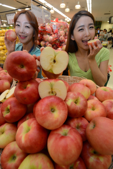 25일 서울 용산역 이마트에서 모델들이 경북 문경에서 수확된 ‘산사’ 품종 햇사과를 선보이고 있다. 8월 중순에 수확하는 산사 품종은 붉은색 사과로는 가장 먼저 출하하는 조생종이다. 박지환 기자 popocar@seoul.co.kr