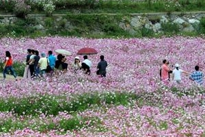 하동에서 가을을 만나세요