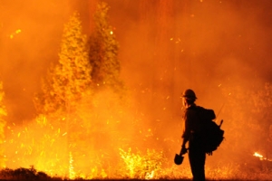 美요세미티 9일째 산불 확산… 식수·전력확보 비상