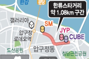 한류☆와 먹고 걷고… 강남에 ‘도심 올레길’ 만든다