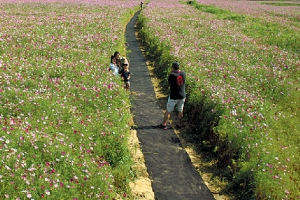 강릉 경포 저류지 완공… “생태관광 오세요”